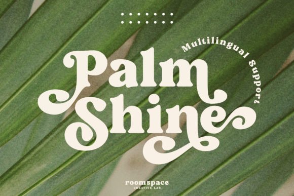 Palm Shine: A Retro Serif Font That Makes Your Campaigns Instantly Clear